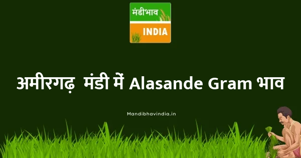 Alasande Gram भाव